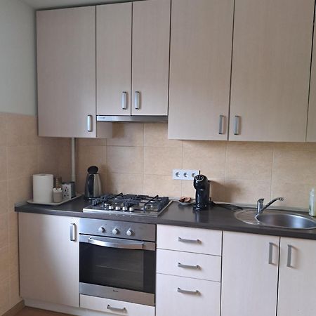 Anykščiai Welcoming Apartment מראה חיצוני תמונה