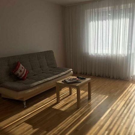 Anykščiai Welcoming Apartment מראה חיצוני תמונה
